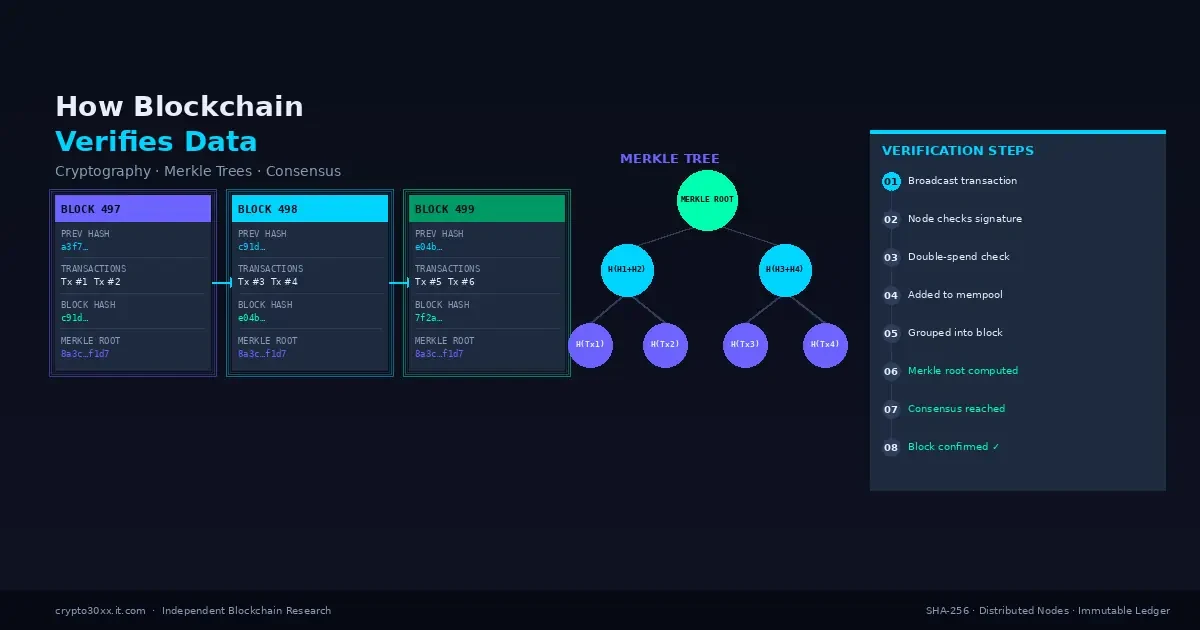 How blockchain verifies data — diagram showing block chain, Merkle tree, and verification steps